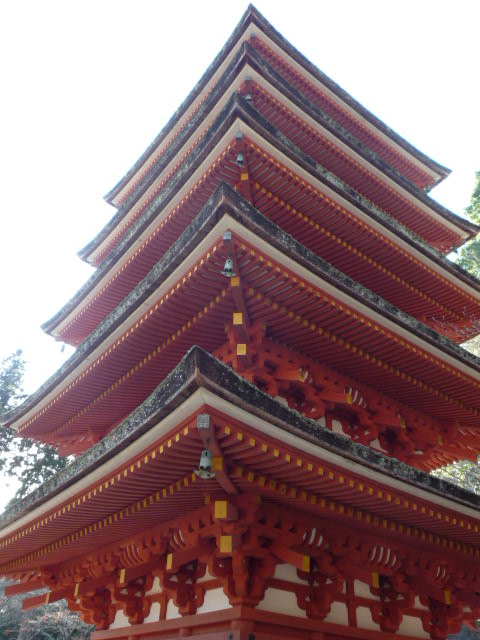 ޗ125E6 026.JPG