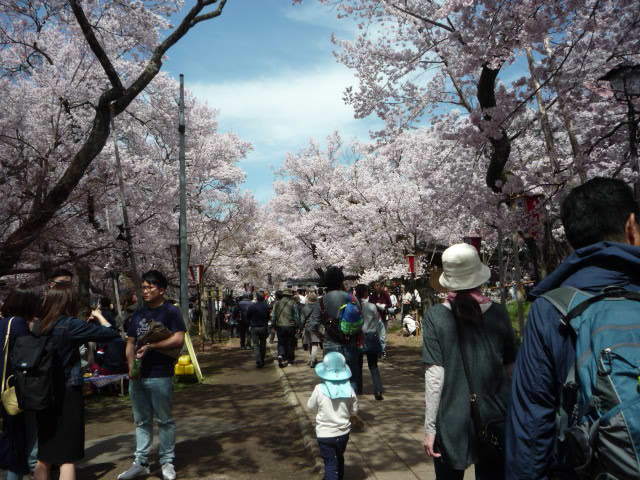 P1050454.JPG